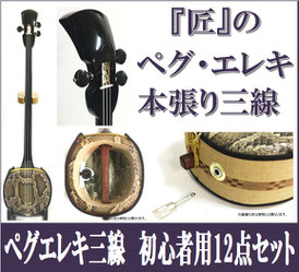 ペグ・エレキ三線 本張りの画像