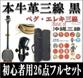 ペグエレキ三線 初心者セットの画像