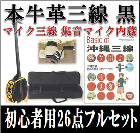 本牛革三線 エレキ仕様 初心者セットの画像
