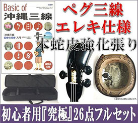 ペグ・エレキ三線 強化張り 初心者セットの画像
