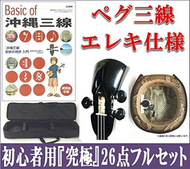 ペグ・エレキ三線 人工皮 初心者セットの画像