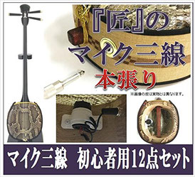 エレキ三線 本張りの画像