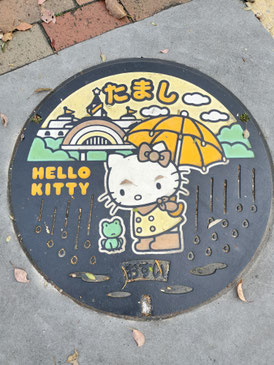 Tama has a separate collection system for stormwater and wastetewater indicated with うすい&おすい, each with a different color pattern