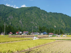 田園風景