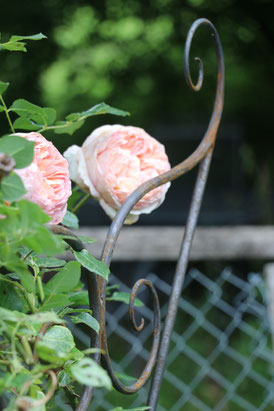 Handgeschmiedetes Rankgitter für Rosen oder Clematis. 100% Swiss Made im Kanton Bern 
