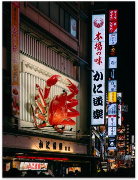 NEW IN: Dotonbori Crab