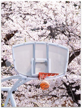 NEW IN: Sakura Swoosh