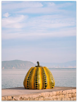 NEW IN: Pumpkin