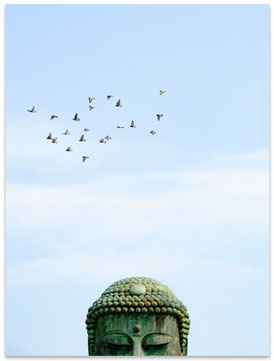 NEW IN: Buddha Birds