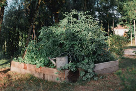 Lassenat éco- maison d'hôtes en Gascogne, chambres d'hôtes de charme et gîte écoresponsable, location de vacances avec piscine écologique, table d'hôtes bio, potager biologique. 4 clés Clévacances. Près de Vic-Fezensac, Eauze, Condom, Gers. Occitanie.