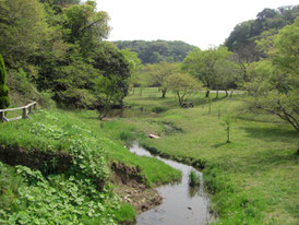 豊かな自然が残る「池子の森自然公園」