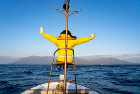 屋久島を海から独り占め！