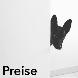 GUNDI - Gesund & Intelligent | Preise