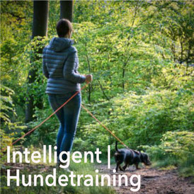 GUNDI - Gesund & Intelligent | Hundeernährungsberatung