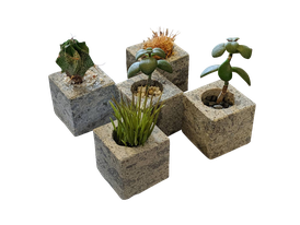 マツシロック 植物ポット（キューブ）