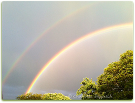 Charlotte Deppisch: Foto Regenbogen 1