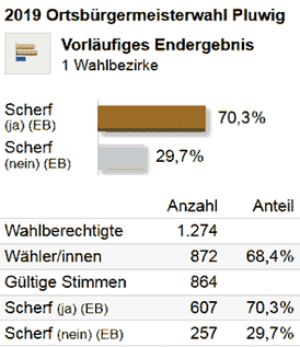 Kommunalwahlen 2019. Gemeinderat Pluwig. Endergebnis. Ortsbürgermeisterwahl. Graphik