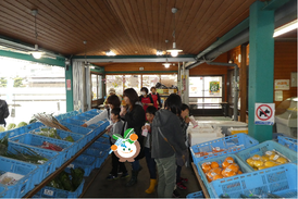 新鮮野菜がずら~り!