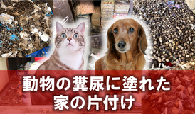 動物｜犬｜猫｜ゴミ屋敷｜糞尿｜排泄物｜片付け｜清掃｜クリーニング