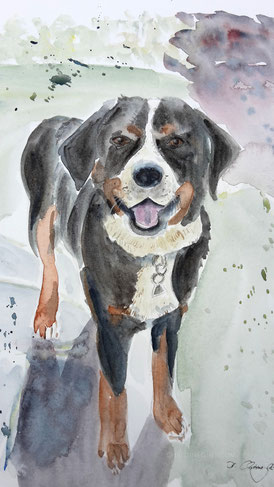 Hund, Hundeportrait, Dog, painting, Aquarell