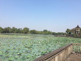 Kandawgyi Lake