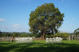 Hochzeit im Grünen