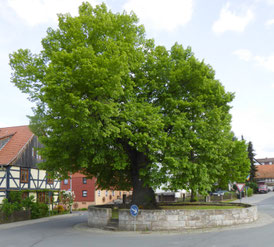 Gerichtsplatz in Dohrenbach