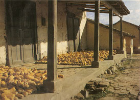 Calle Pedro de Miranda