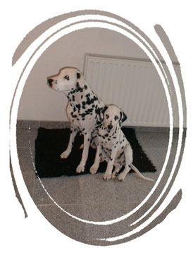 Jaschi und Jamie