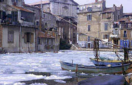 Martigues. Le miroir aux oiseaux (Maritima.info)