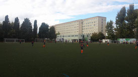 Großfeldtest der D-Junioren