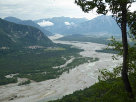 Wildflusslandschaft Tagliamento, Foto: G. Rosenthal
