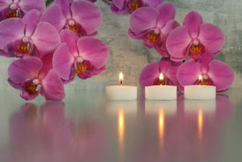 Quelle: http://www.zumgourmet.at