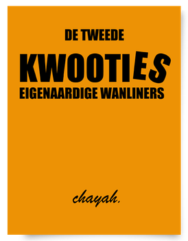 cover boek spoorloos door chayah godschalk visser