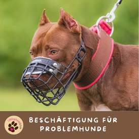 Problemhundetherapie München