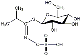 Glucoputranjivine