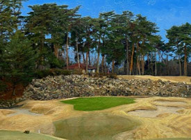 ニューセントアンドリュースGC (名物ホール) NEW14番 PAR3