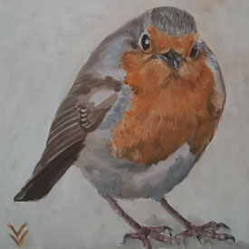 61. Robin pure 20x20cm olieverf op doek XXX