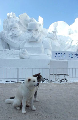 2015年　さっぽろ雪祭り会場にて。たろうとだいちゃんです。　　スターウォーズ　エピソード　ワンワン？！（笑