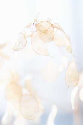 laura adai/unsplash