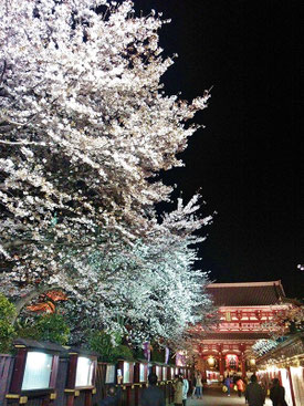 ケントさん：浅草・仲見世