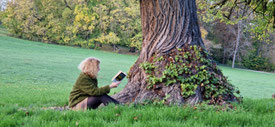 Dem Baum vorlesen