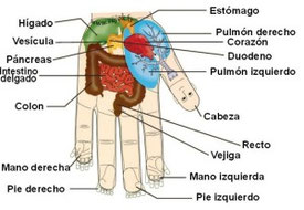 Resultado de imagen para imagenes de terapias de los hologramas