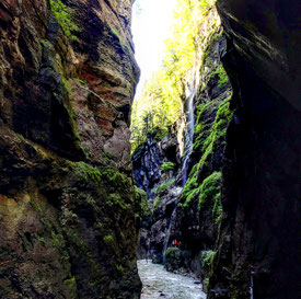 Vom Eckbauer zur Partnachklamm