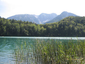 Geheimtipp: Der wunderschöne Alatsee