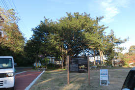 翠ケ丘公園
