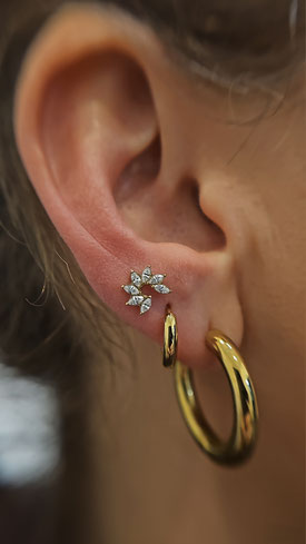 LOBE