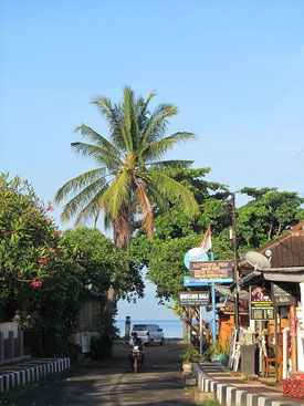 Visit Kalibukbuk, Central Lovina Beach