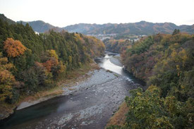 紅葉の多摩川を渡り駅に向かいます。