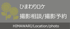 山梨明野ひまわり畑ウェディングロケーション＆和装ひまわり前撮り山梨明野ひまわり畑ウェディングロケーション＆和装ひまわり前撮り　山梨ひまわりロケフォトウェディング　山梨明野ひまわり畑　明野ひまわりウェディング　ひまわりロケーション撮影　ひまわり畑ウェディングロケ　ひまわりフォトウェディング　ひまわり畑ウェディングドレス　ひまわり前撮りロケーションフォト　　